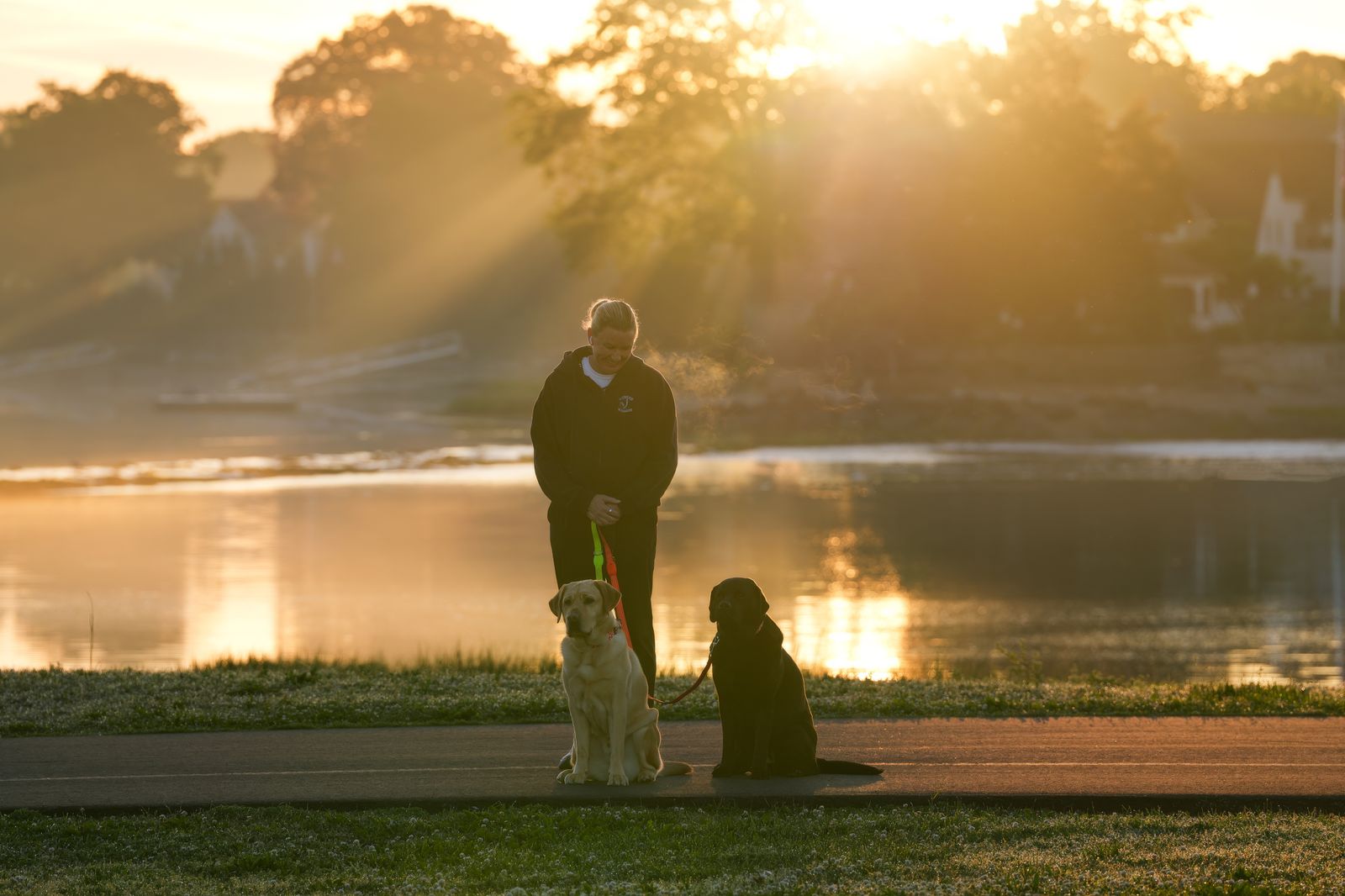Sunrise walk by the lake with dogs