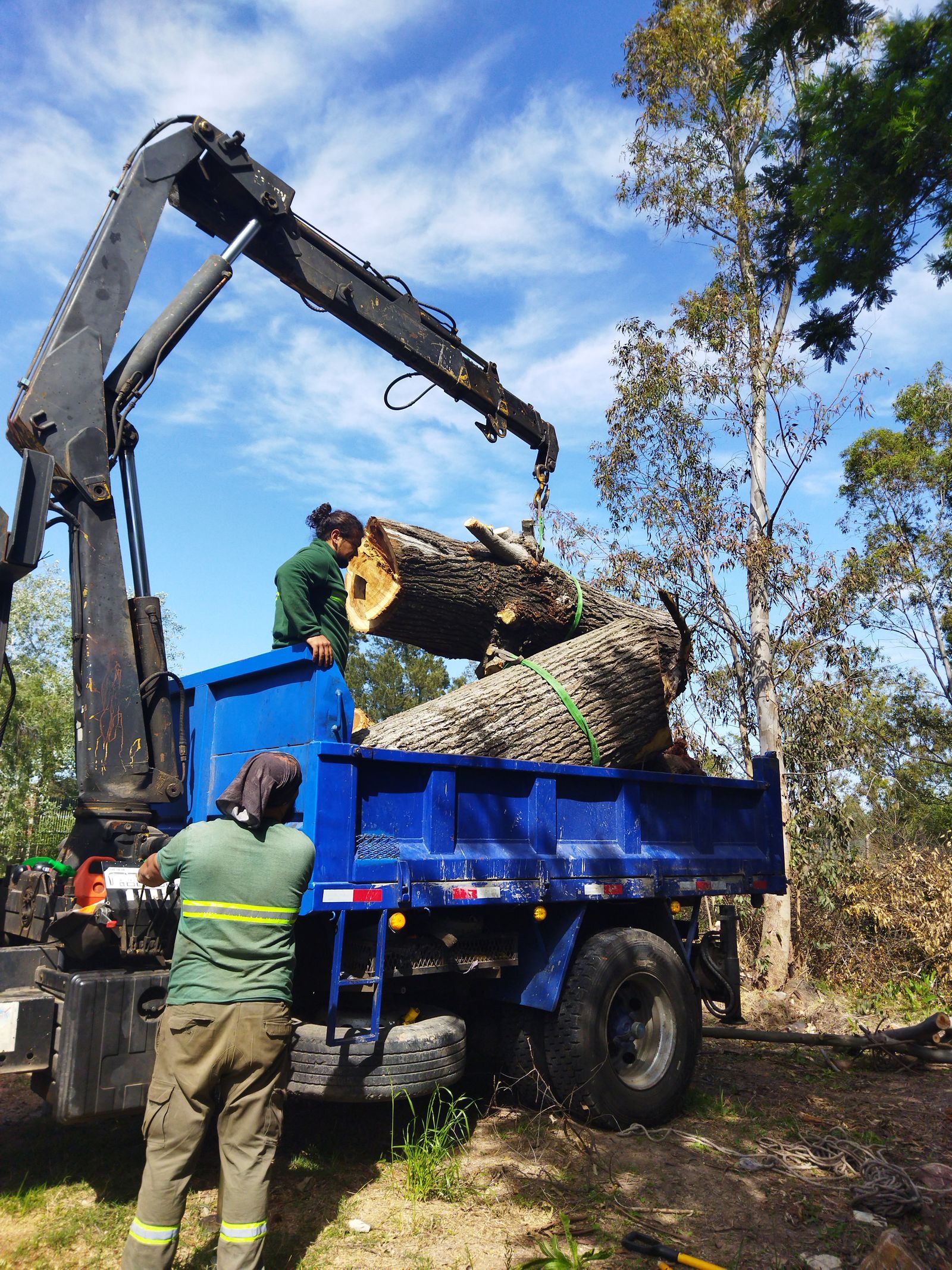 Man loading timber on truck