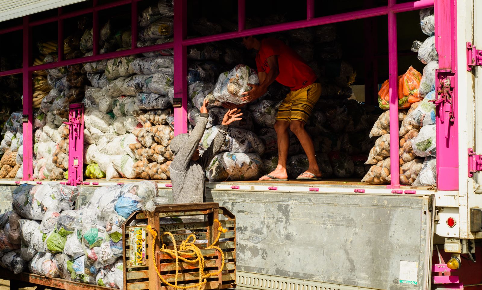 Workers loading vegetable bags onto truck