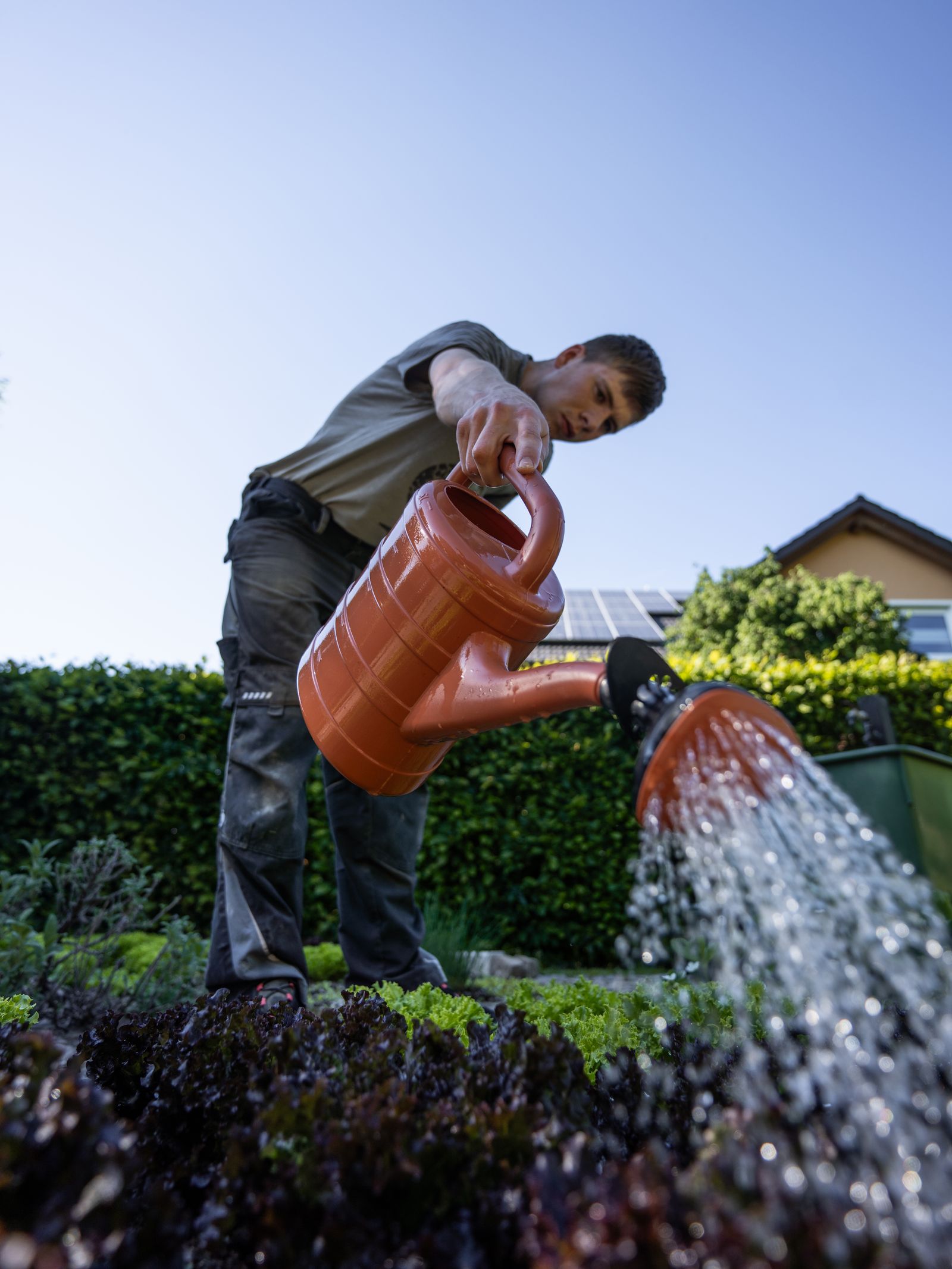 Landscaper planting garden with homeowner