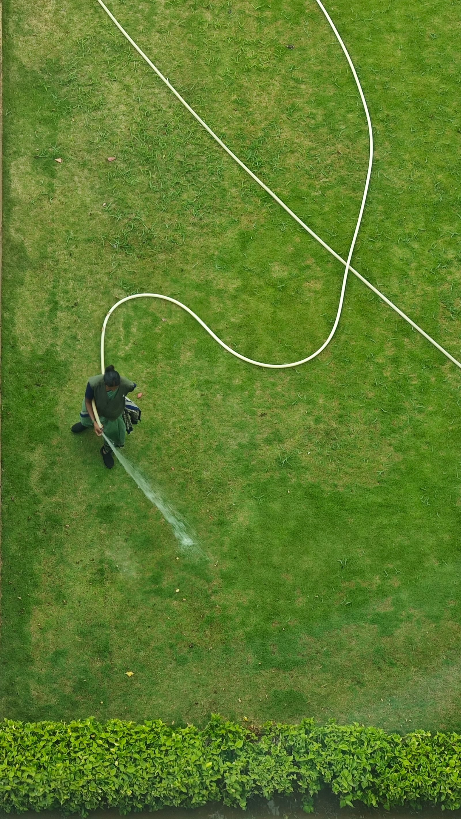 A person watering a lush lawn using a garden hose, seen from above