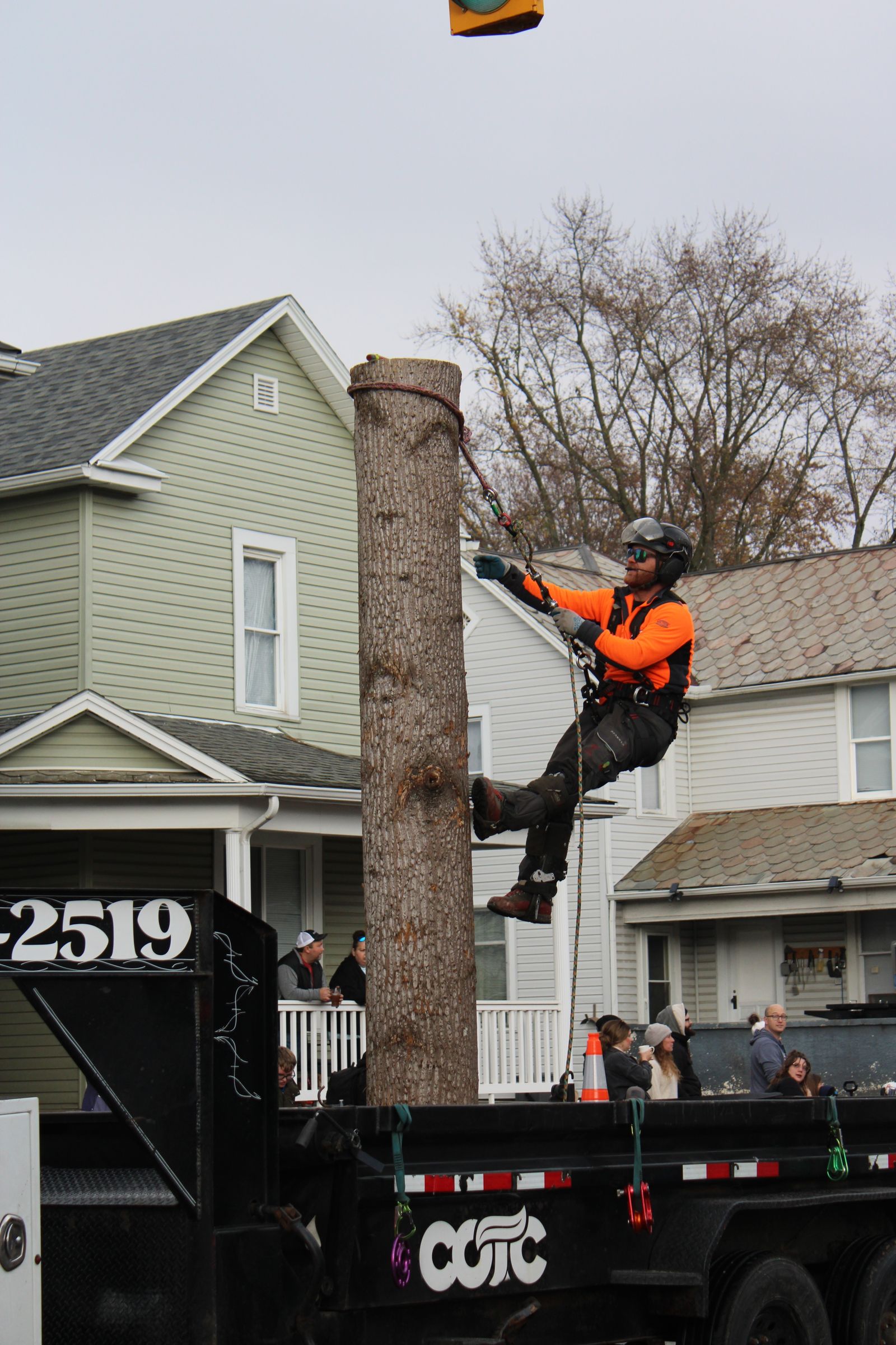 Tree worker climbing log during outdoor demonstration