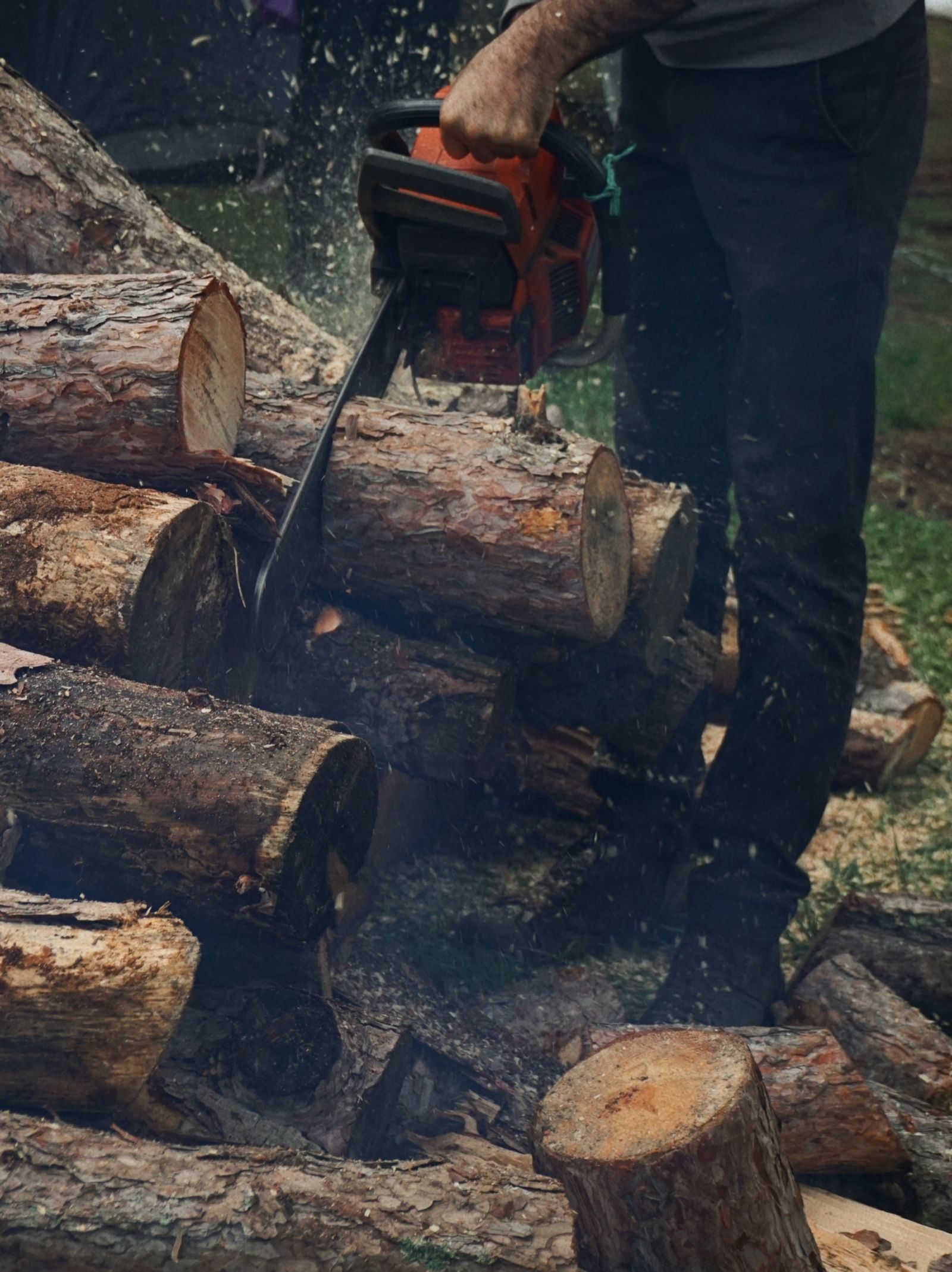 Adult man using a chainsaw to cut large logs outdoors, showcasing woodworking skills