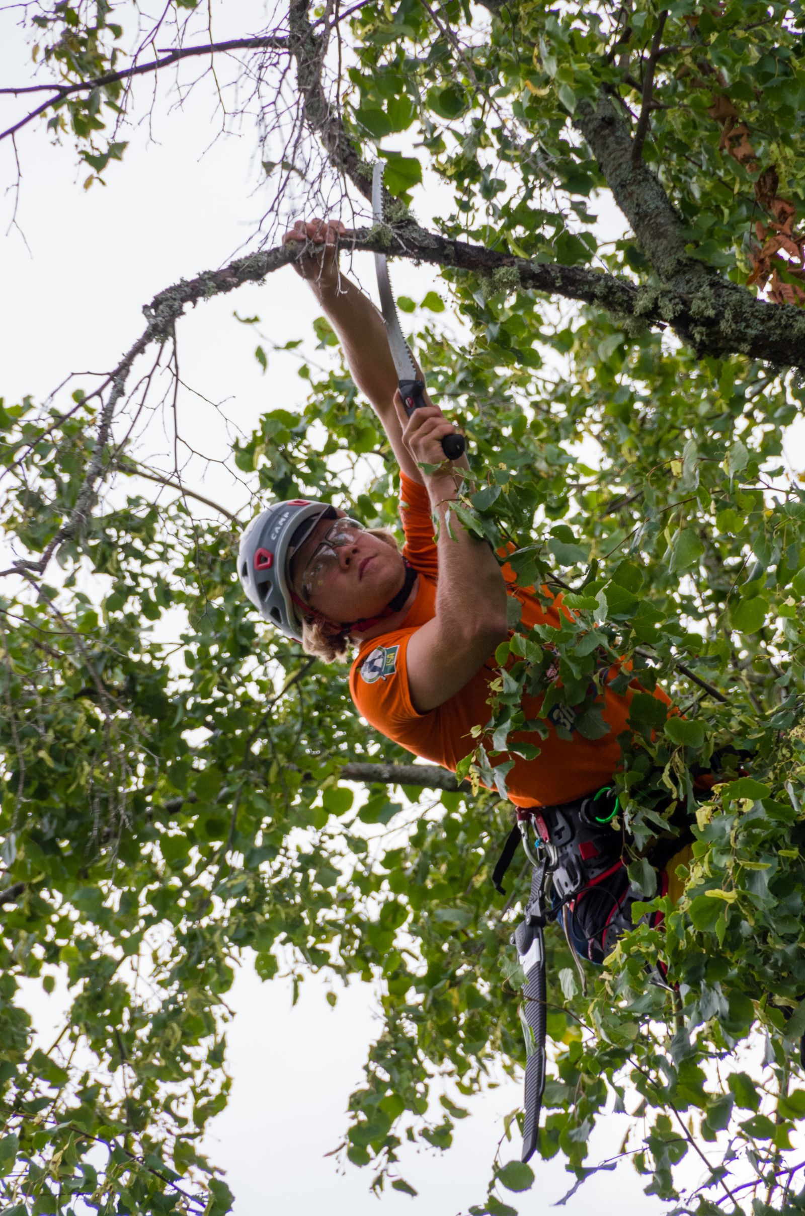 Woman in helmet climbing tree