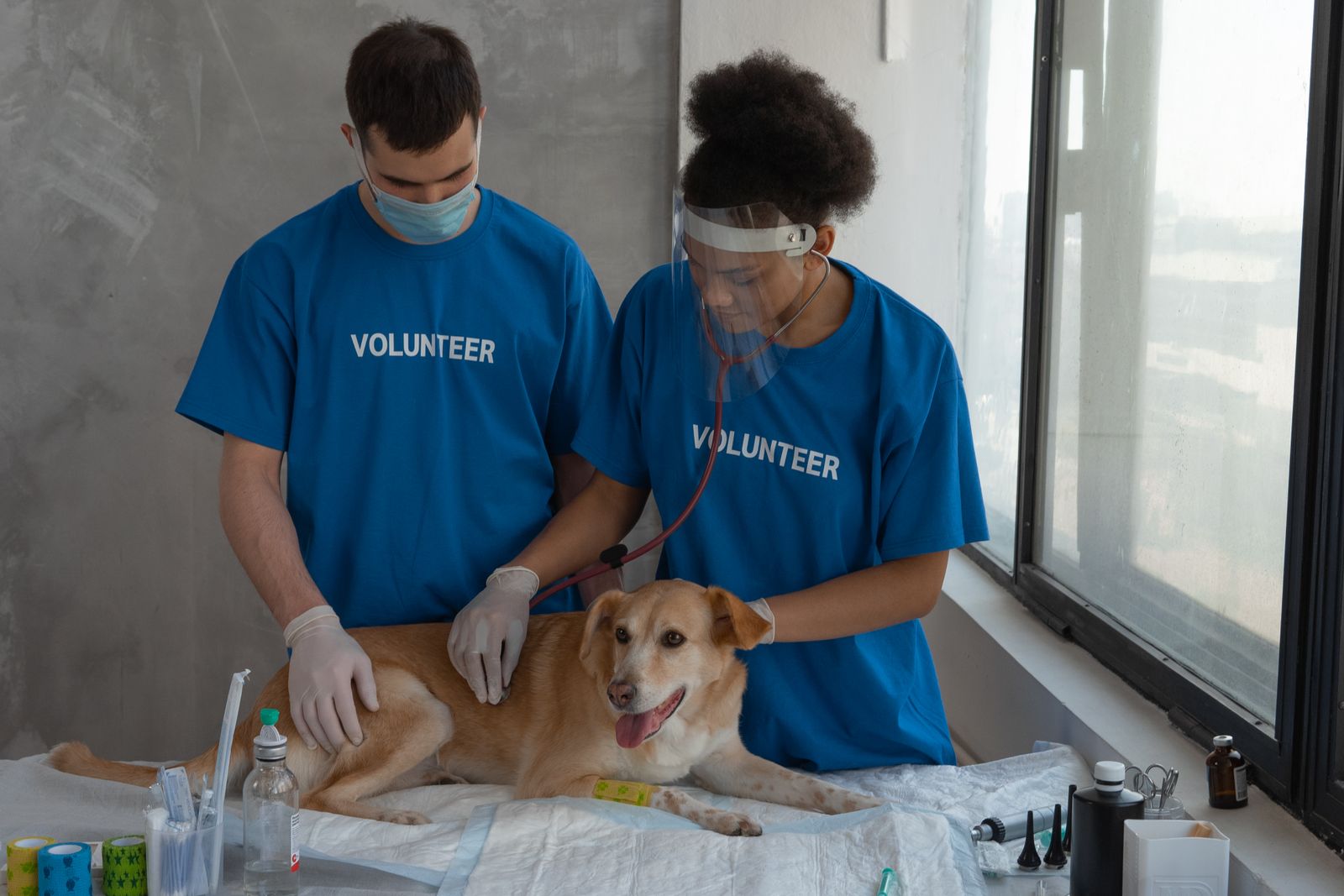 Veterinarian with family and dog