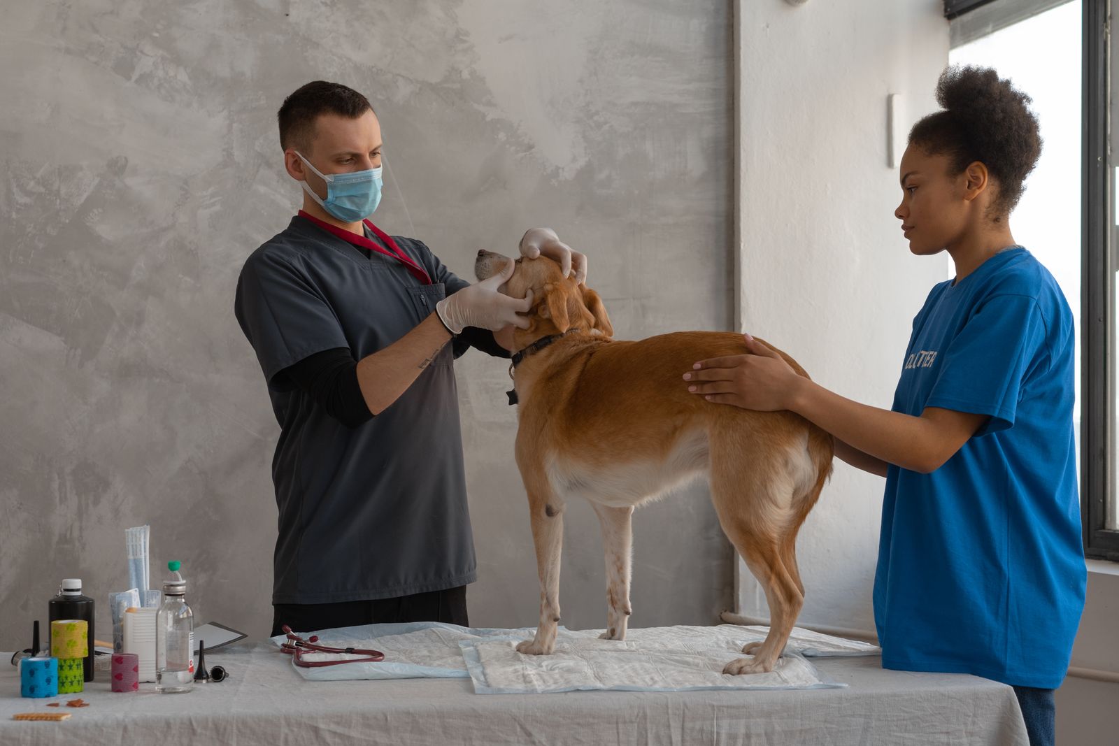 Veterinarian with family and dog