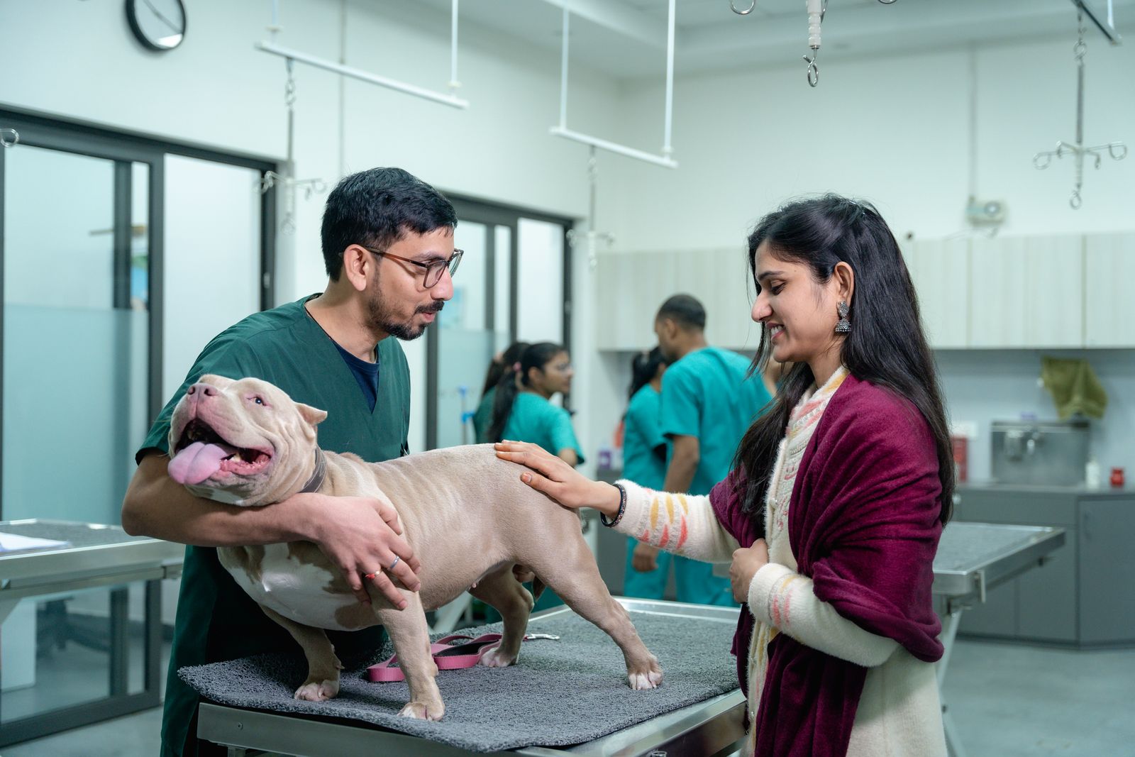A woman petting her dog held by the vet