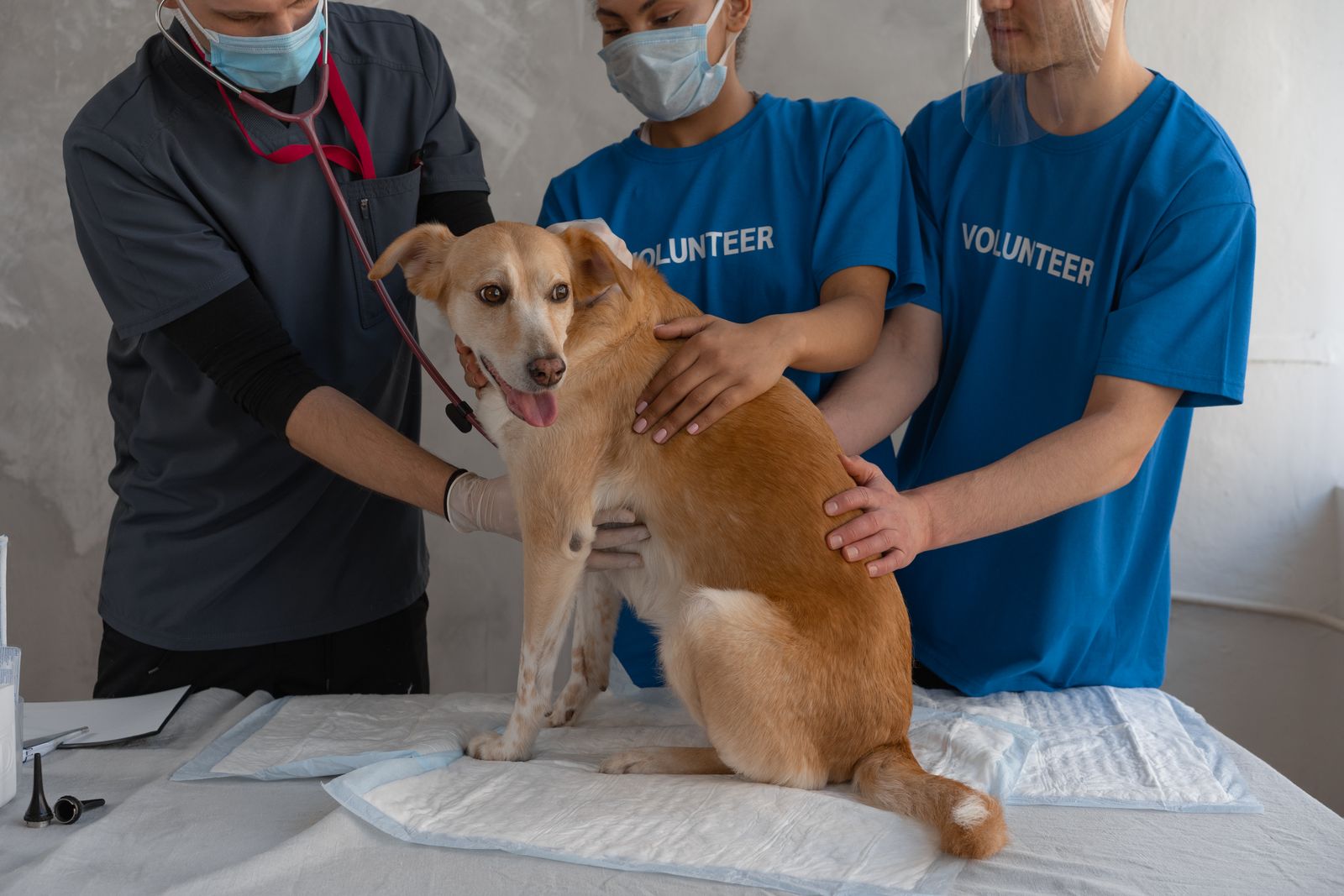 Veterinarian with family and dog